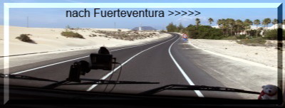 Fuerteventura Link